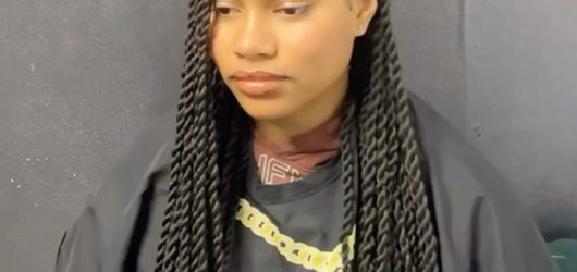 lemonade fulani braids